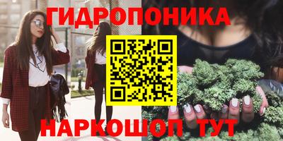 хмурый Обь