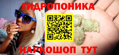 мдпв Обнинск